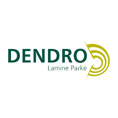 Dendro Lamine Parke