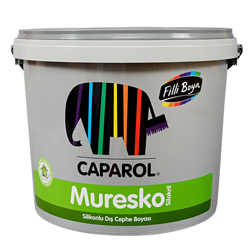 Filli Boya Muresko Silakril
