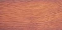 hemel exotic oil hazelnut